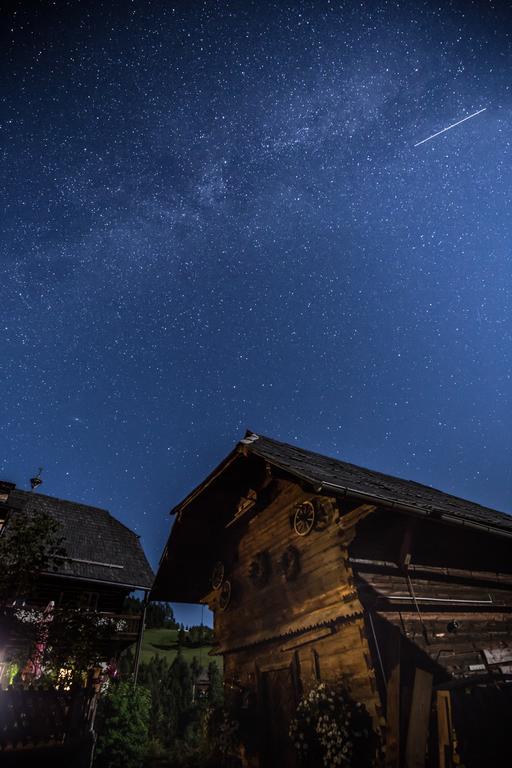 Surtmannhof Otel Sirnitz Dış mekan fotoğraf