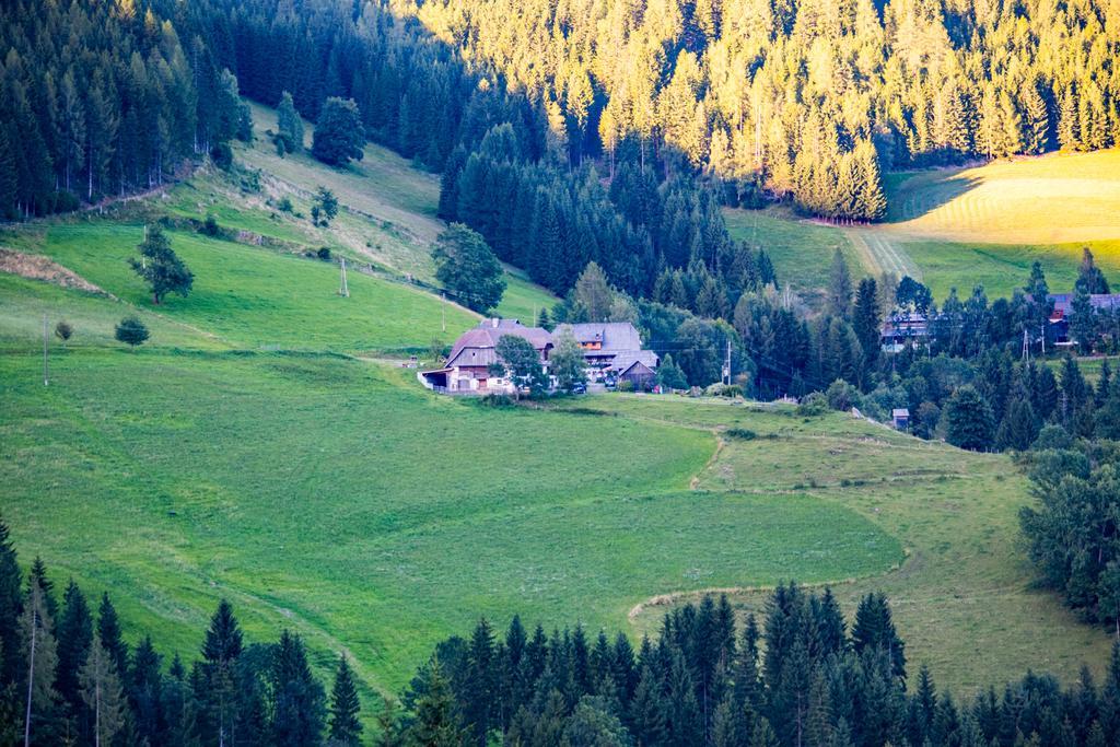 Surtmannhof Otel Sirnitz Dış mekan fotoğraf